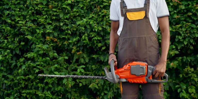 hedge trimming services near me