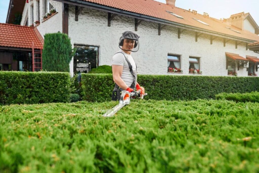 hedge trimming services near me