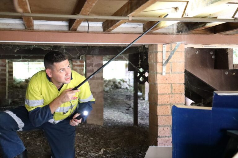 Termite Specialist